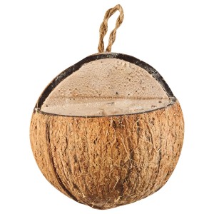 Elles Wildvogelfutter Kokosnuss mit Erdnussbutter 400 g