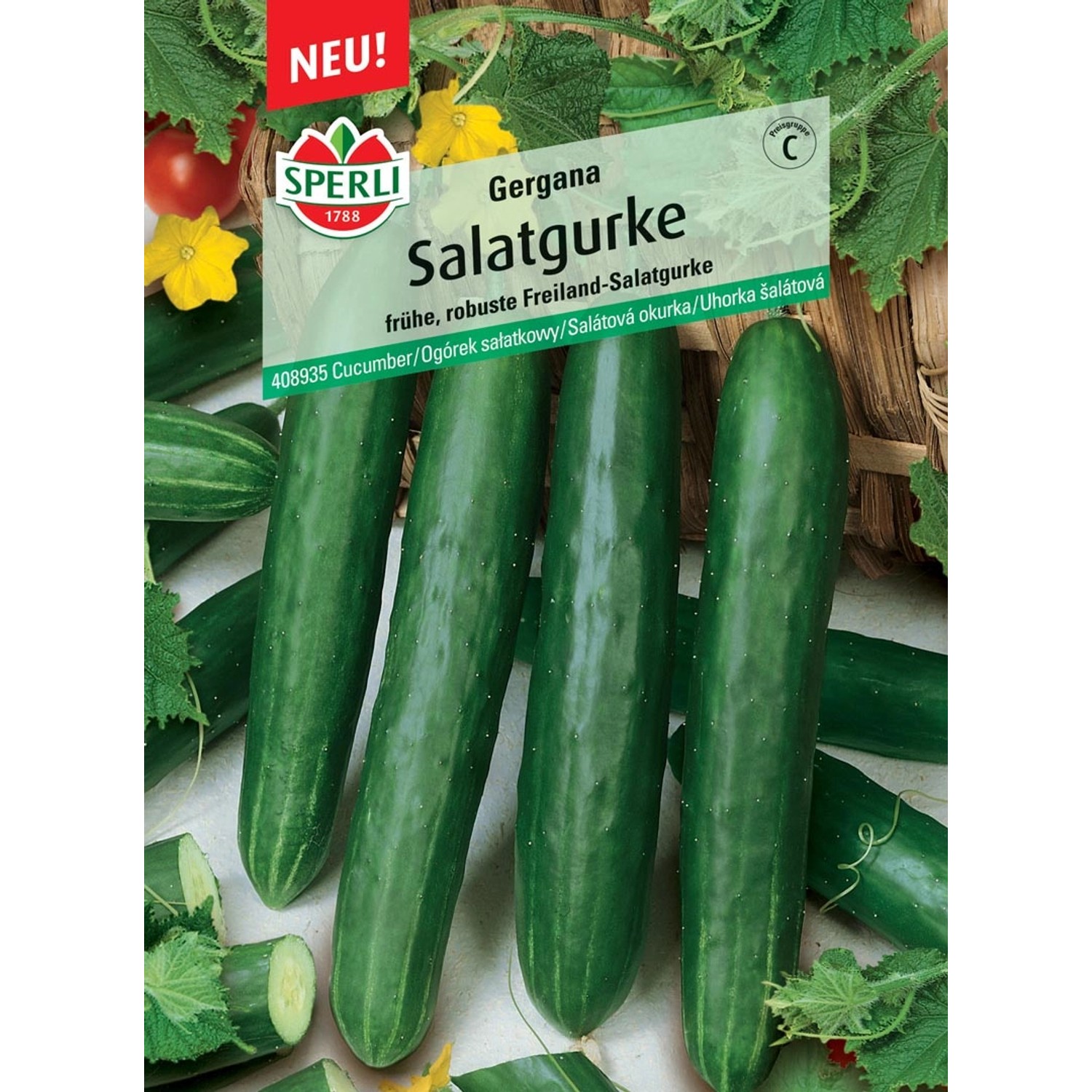 Gurke Cucumis Sativus -Fotos Und -Bildmaterial In Hoher Auflösung - Foto 2