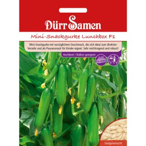 Dürr Samen Mini-Snackgurken Lunchbox F1 Saatgut mit reicher Ernte, ideal für Hochbeet und Balkon.