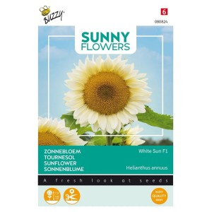 Sonnenblume 'White Sun F1' Buzzy Sunny Flowers Samen Ca. 6 Samen Cremeweiße Blüten