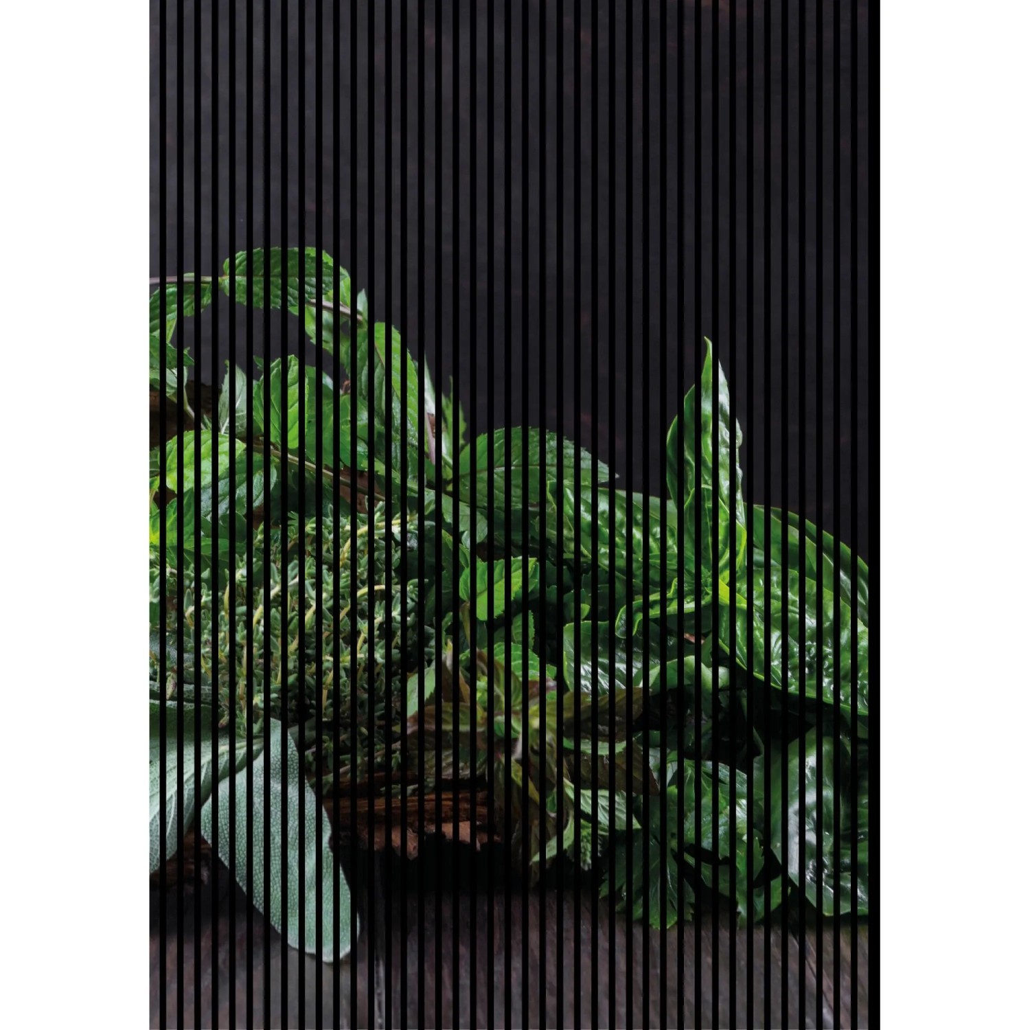 FN Acustico Akustikplatte Kräuter 1 PET u. MDF Foliert 1.693 x 19 x 2.400 mm