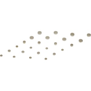 24-teiliges Knopfzellen-Set mit verschiedenen Größen für Uhren, Spielzeug und Taschenrechner.