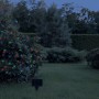 Globo Solar-Lichterkette mit bunten Lichtern an einem Busch im Garten.