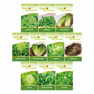 Set mit 10 grünen Samenpaketen für verschiedene Salatsorten: Schnittsalat, Salatrauke, Kopfsalat, Feldsalat. Gemüsesamen.
