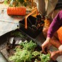 Fiskars Aufbewahrungsbox mit Gartengeräten und Pflanzen bei der Nutzung.