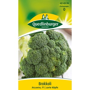 Samenpackung Quedlinburger Brokkoli 'Atlantis' mit großem, grünen Brokkolikopf.