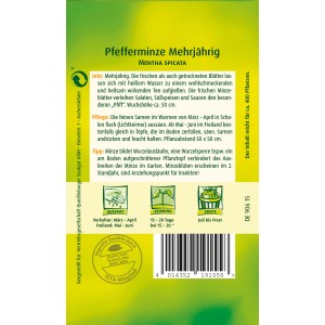 Pfefferminze Samenpackung von Quedlinburger, mehrjährige Minze für Tee und Speisen.