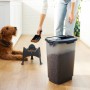 Rotho Tierfutterbehälter Cody 25 l, transparent/grau, mit Futter und Hund im Hintergrund.
