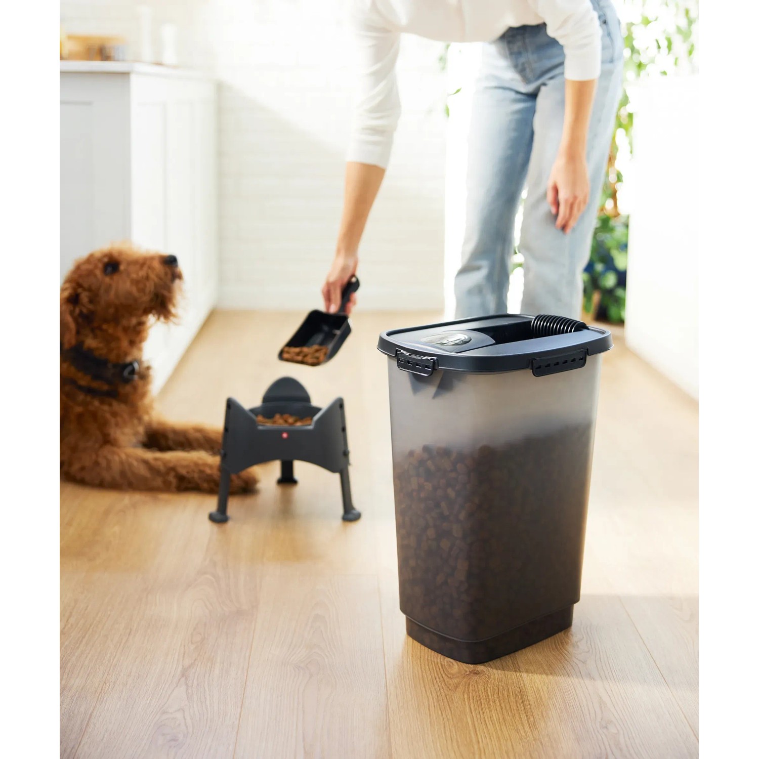 Rotho Tierfutterbehälter Cody 25 l, transparent/grau, mit Futter und Hund im Hintergrund.