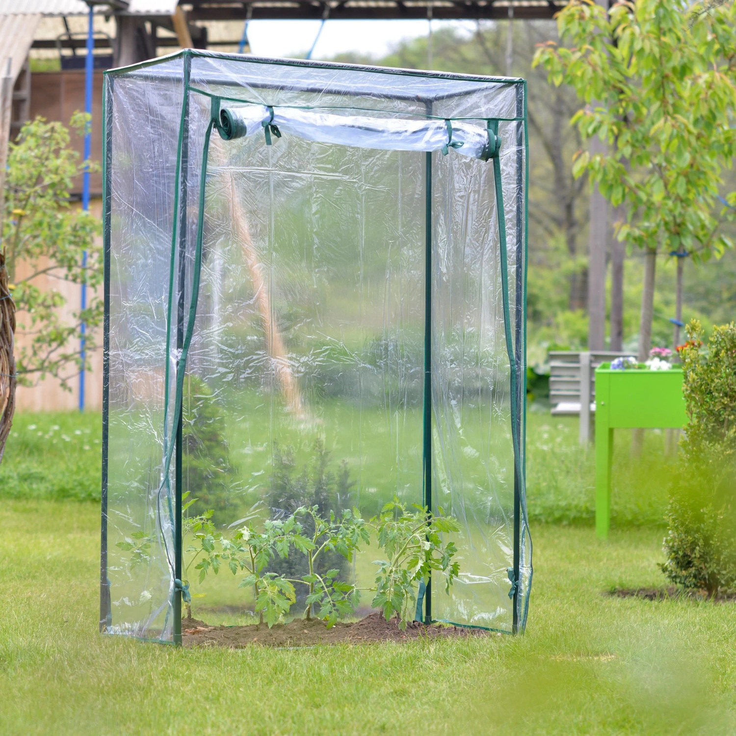 Transparentes Tomatengewächshaus mit grünem Stahlrahmen auf Rasen. Schützt Jungpflanzen, ideal für Anzucht.