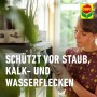 Frau reinigt Blatt mit Compo Blattglanz. Pflanzenstärkung für glänzende, gesunde Blätter.