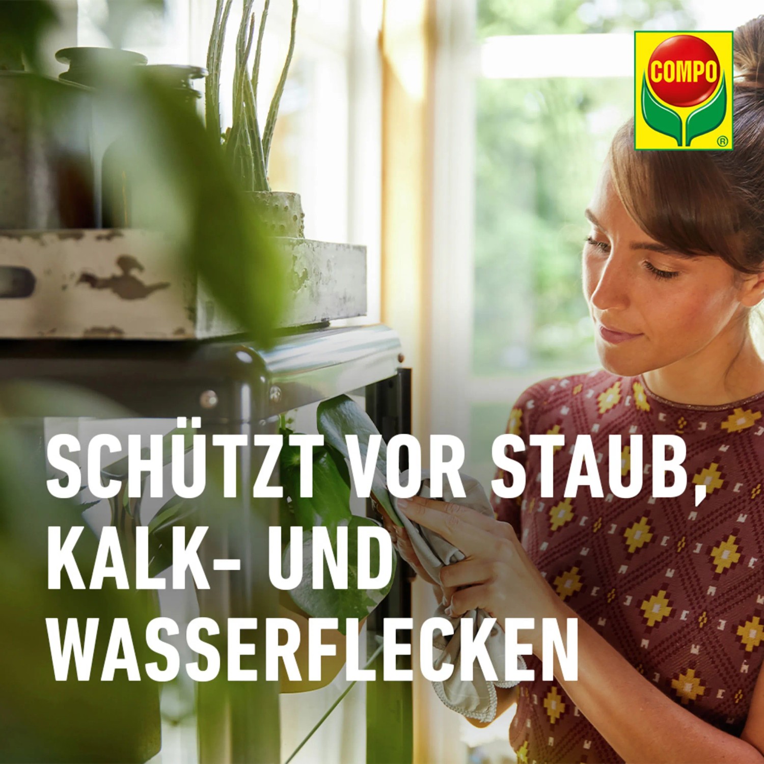 Frau reinigt Blatt mit Compo Blattglanz. Pflanzenstärkung für glänzende, gesunde Blätter.