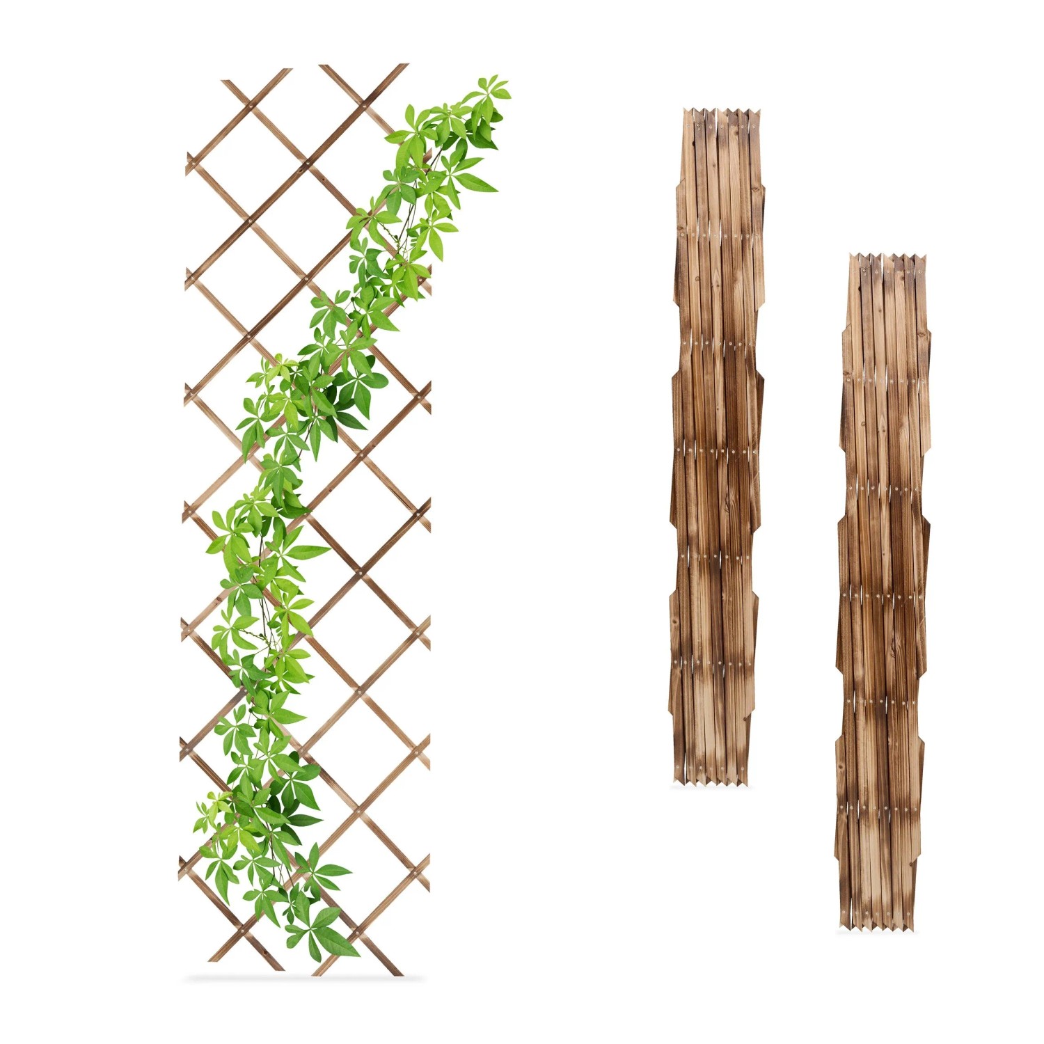 Relaxdays Rankgitter 3er Set Tannenholz Geflammt Ausziehbar 180 cm x 60 cm x 1 cm