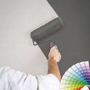 Mann streicht weiße Bricoflor Vliestapete mit Farbroller grau. Farbfächer im Bild.