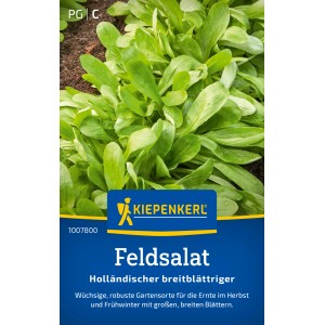 Kiepenkerl Feldsalat Holländischer breitblättriger, dunkelgrüne Blätter.