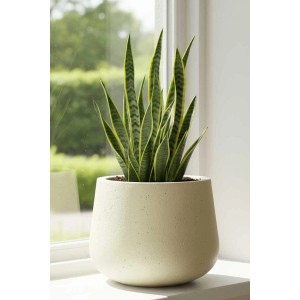 Vivanno Blumentopf Girar, 36 cm, Vesuvbeige mit Grünpflanze am Fenster.