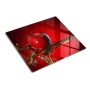 Glas Herdabdeckplatte 60x52 cm mit rotem Apfel, Wasserspritzer auf rotem Grund. Ideal als Schneidebrett & Spritzschutz.