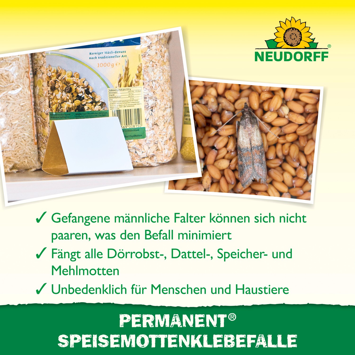 Neudorff Speisemottenfalle: Klebefalle mit Motte und Lebensmittelvorräten im Hintergrund.