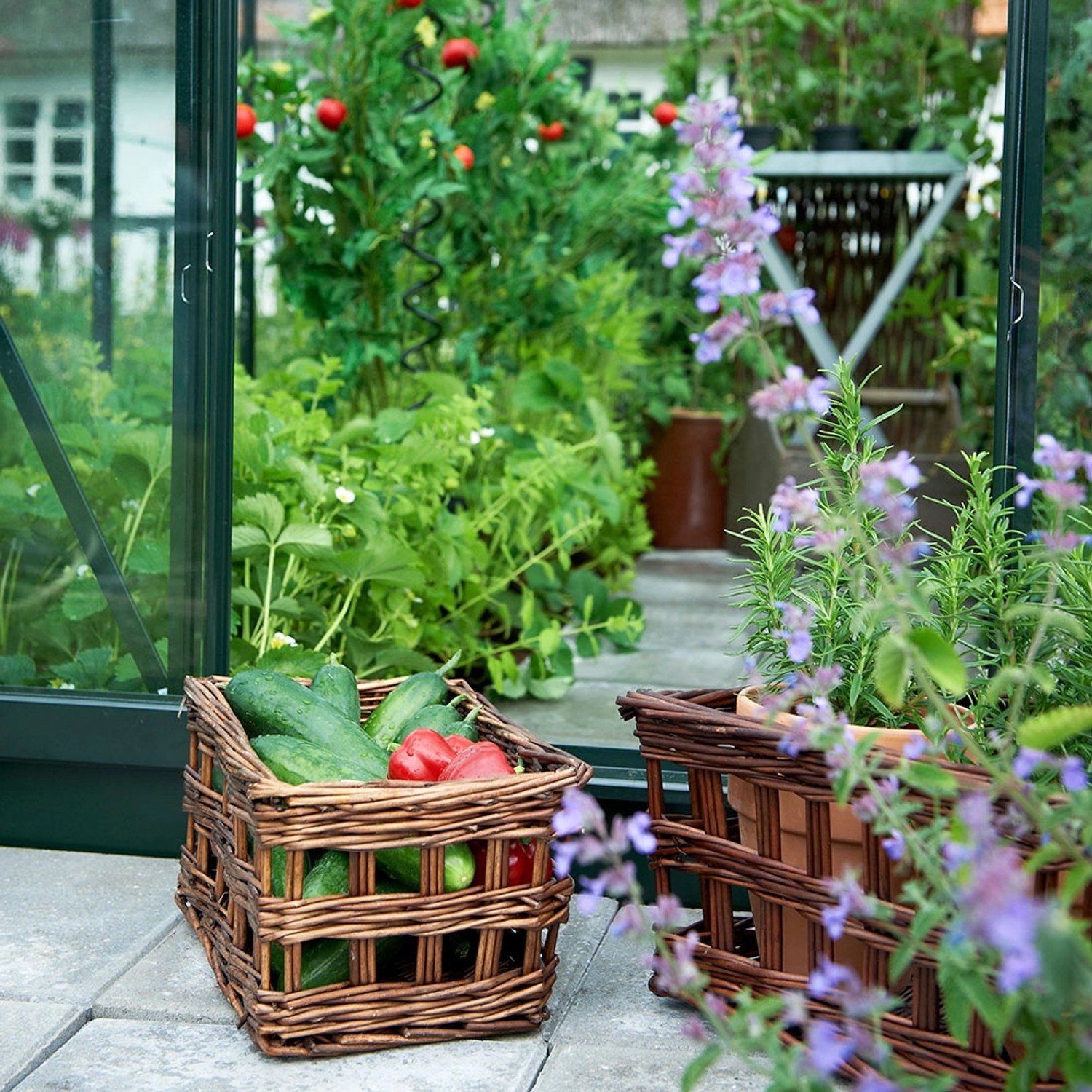 Grünes Halls Gewächshaus Popular 86 mit Ernte in Körben vor dem Eingang.