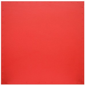 eyepower Trainingsmatte XL mit Rand 90 x 90 cm 4er Set Rot