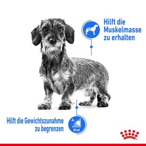 Royal Canin Light Weight Care Nassfutter für Hunde, zur Gewichtskontrolle und Erhaltung der Muskelmasse.
