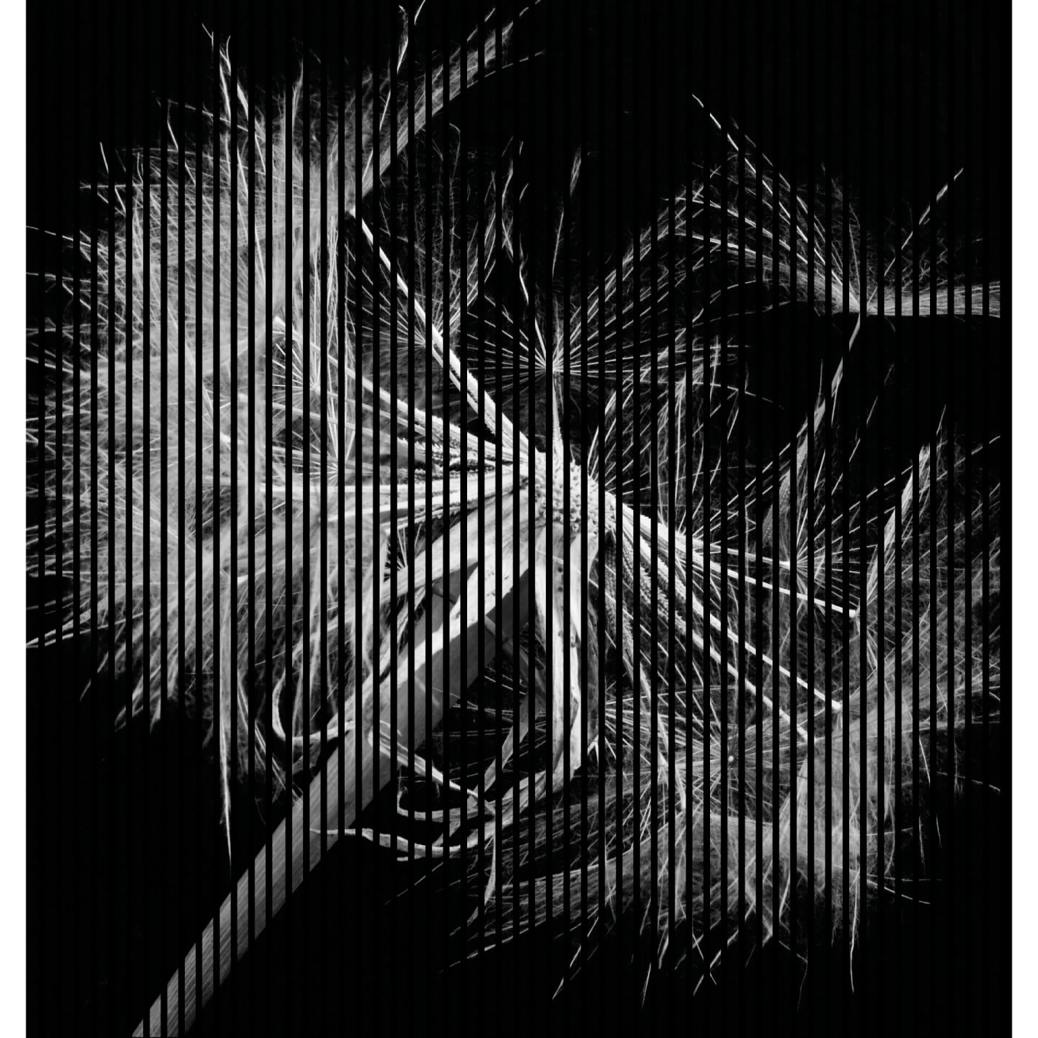 FN Acustico Akustikplatte Pusteblume 1 PET u. MDF Foliert 2.253 x 19 x 2.400 mm