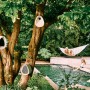 Elho Vogelfutterhaus Essential, 18 cm, Grau, an Baum befestigt, Gartenambiente.