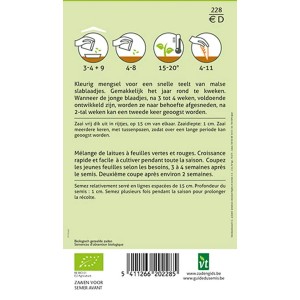 Bio-Saatgut Kopfsalat 'Babyleaf Mix', Mischung verschiedener Salatsorten für Babyleaf.