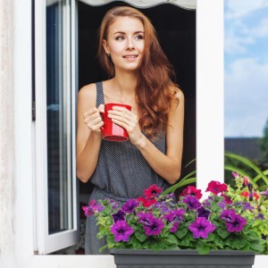 Anthrazitfarbener Blumenkasten (4er Set) mit lila Petunien am Fenster.