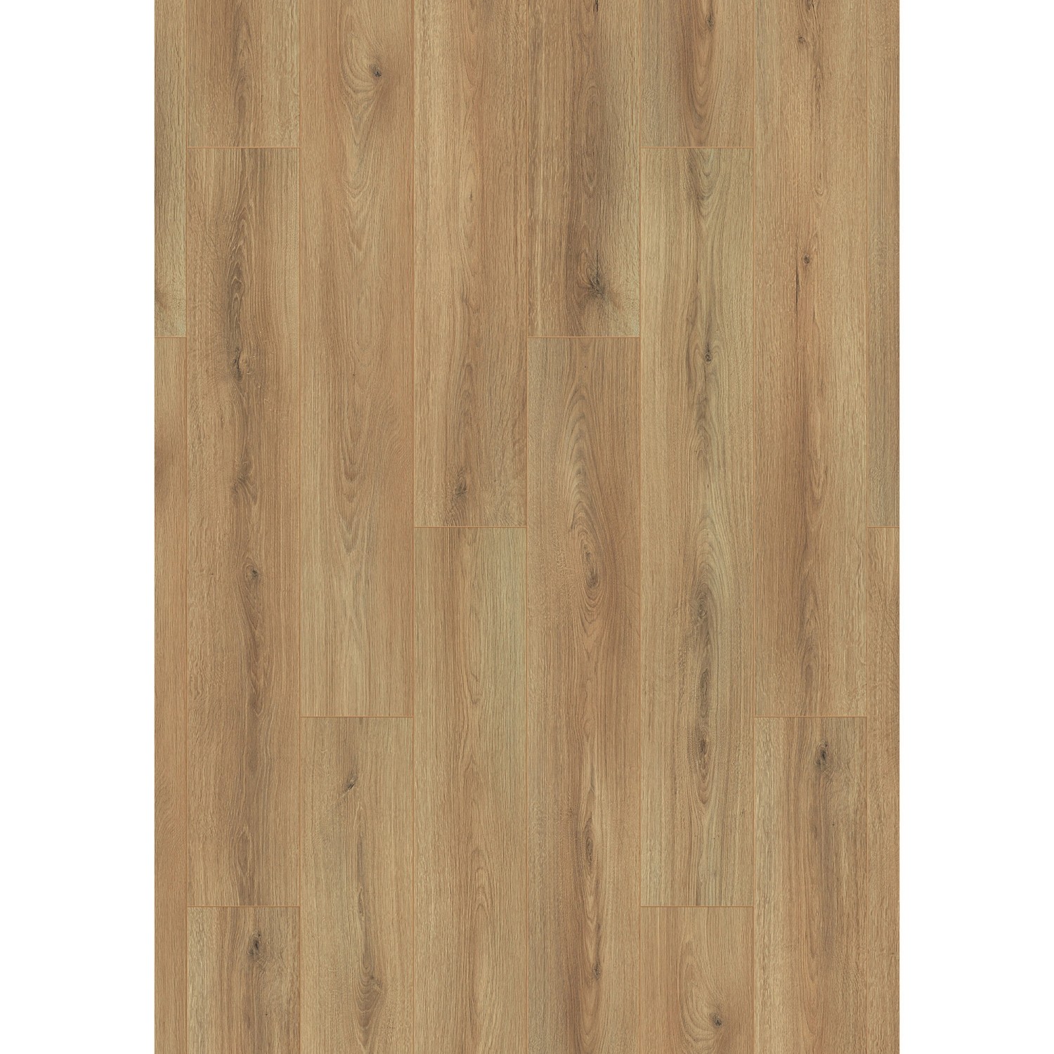 Kronoflooring Laminat 8 mm Eiche mit Trittschalldämmung günstig online kaufen