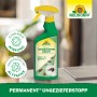 Neudorff Ungezieferstopp Permanent 500ml: Spray gegen Ungeziefer wie Ameisen und Silberfische.