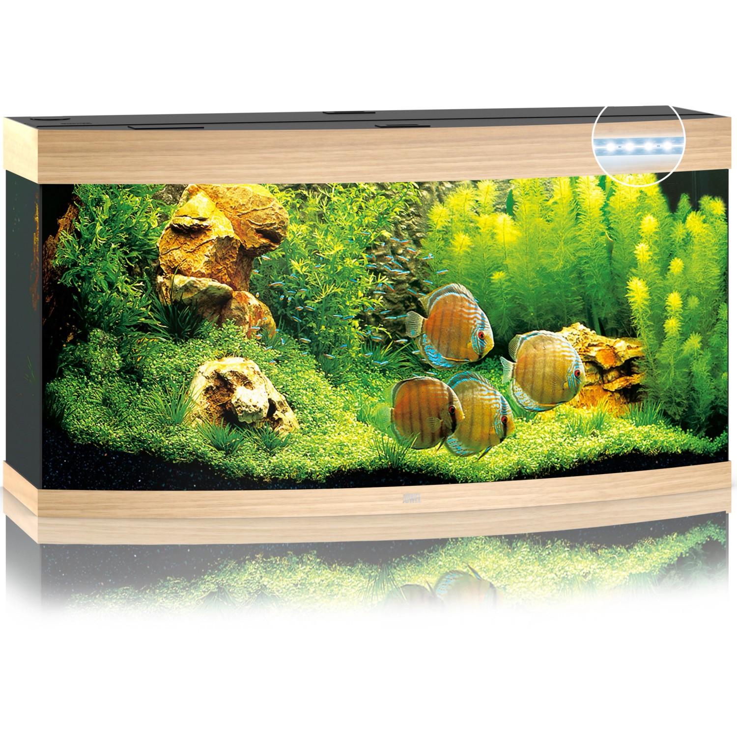 Aquarium cheapest Juwel vision 260 mit Zubehör