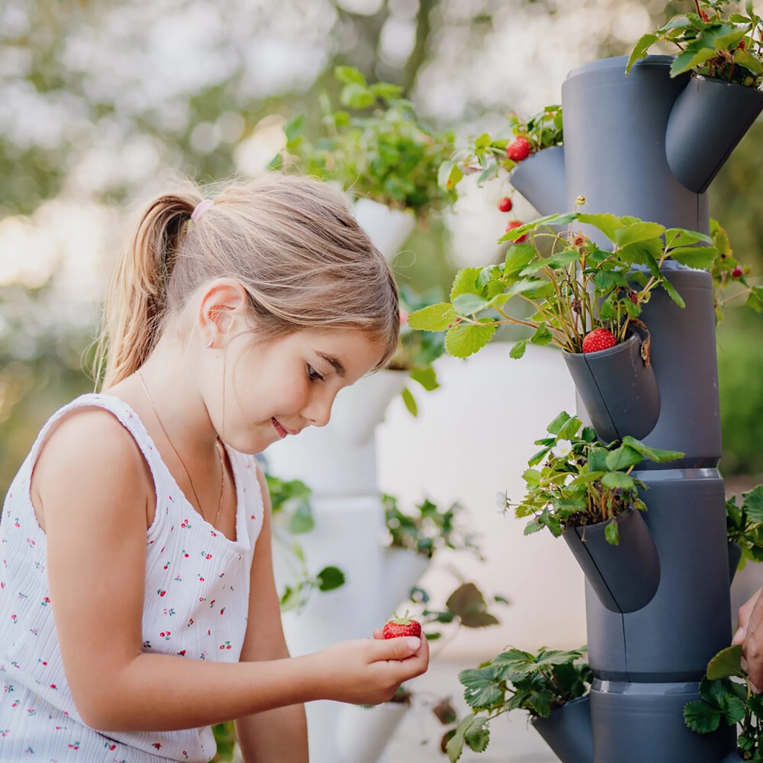 Mädchen mit Gusta Garden Erdbeerturm Sissi Strawberry in Anthrazit. Vertikaler Garten mit Erdbeeren.