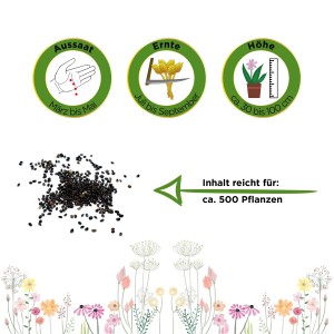 Deine Gartenwelt Katzenminze Samen: Aussaat, Ernte, Höhe und Inhalt für ca. 500 Pflanzen.