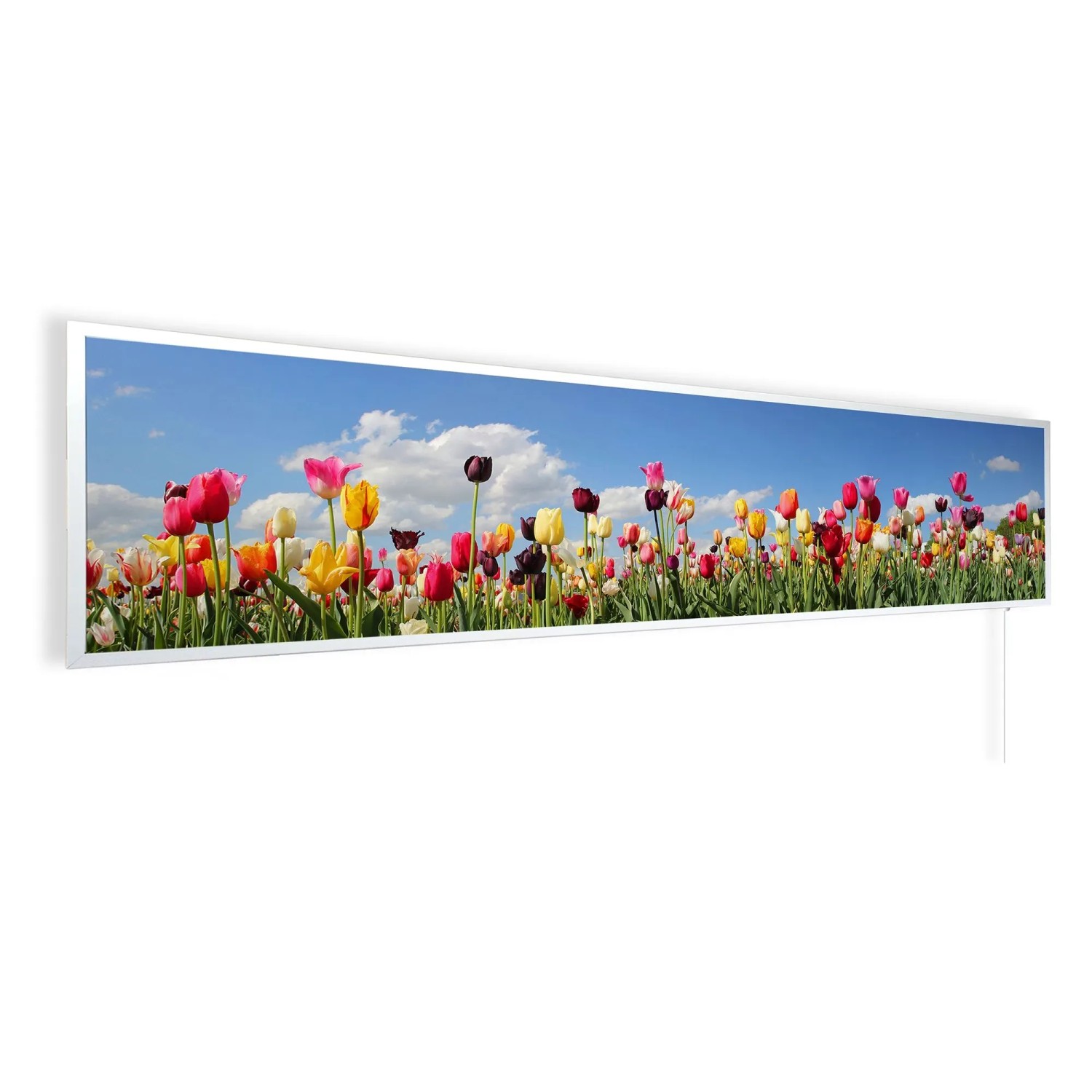 Könighaus Infrarotheizung Panorama Buena Vista Tulpenfeld 450 W 120 cm x 30 cm