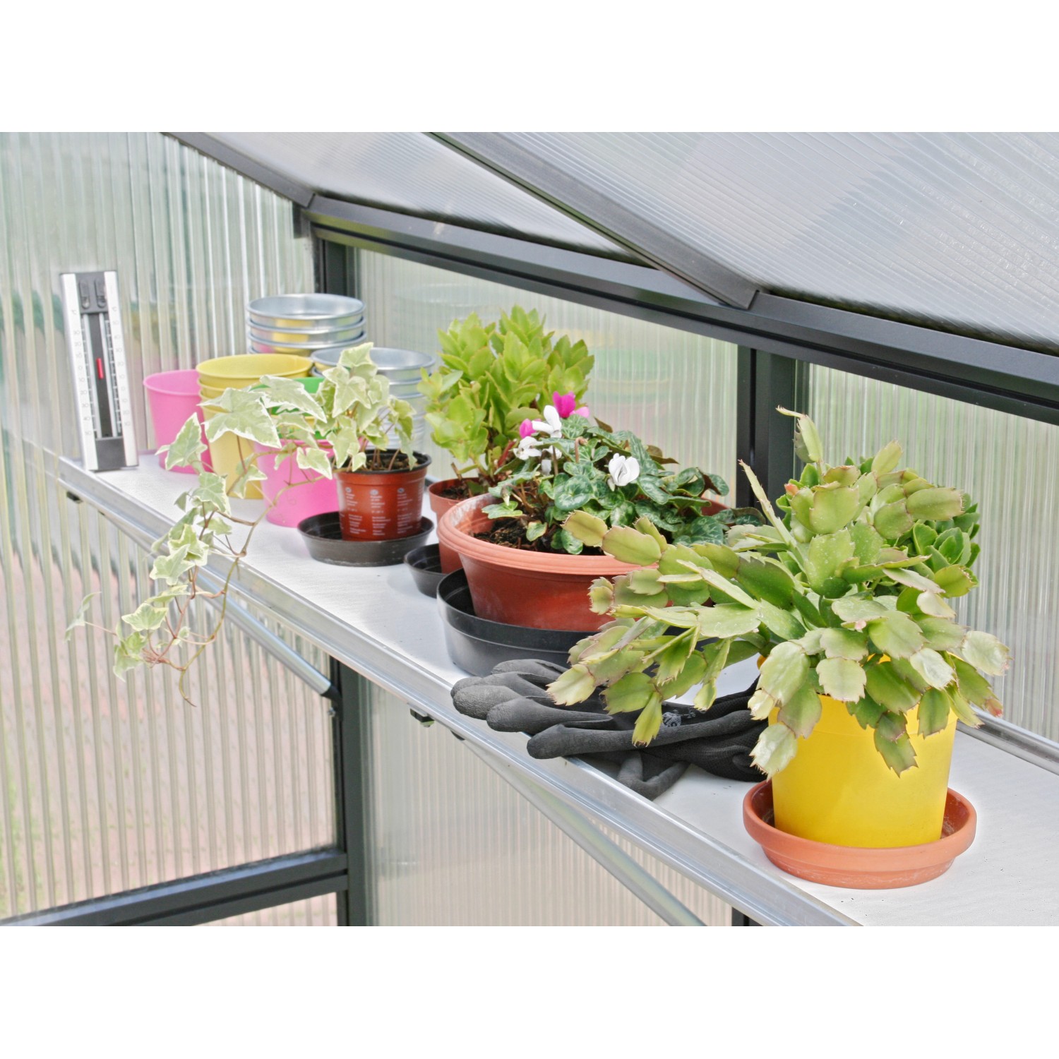 KGT Hängebord Rhodo III Alu blank, 26 cm tief, mit Pflanzen im Gewächshaus.