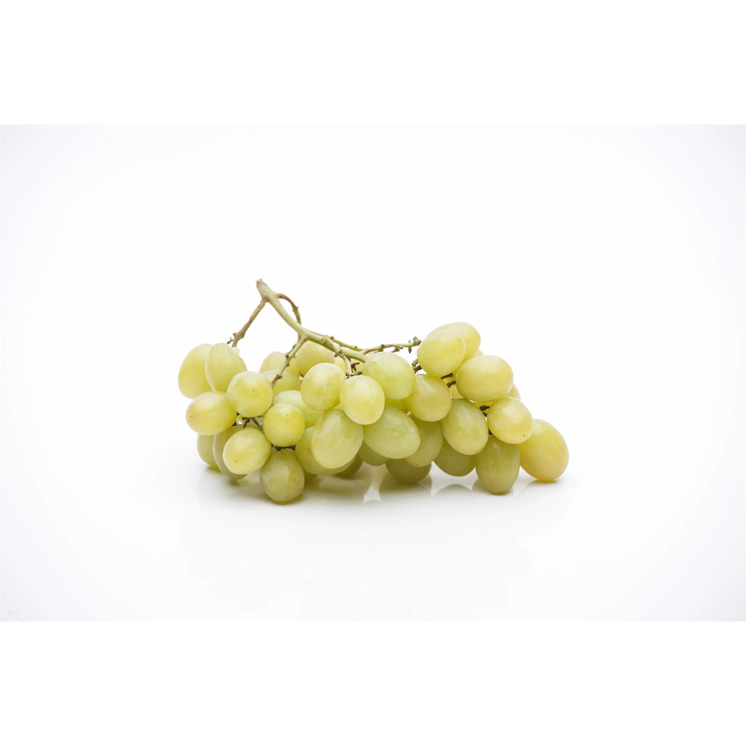 Frische, grüne Weintrauben der Sorte GROW by OBI Wein (Vitis vinifera), ca. 80 cm hoch.