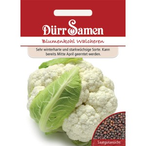 Dürr Samen Blumenkohl Walcheren: Saatguttüte mit Blumenkohl und Saatgutansicht.