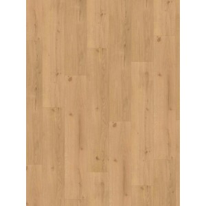 Parador Vinylboden Basic 5.3 Eiche Infinity Natur, lebhafte Struktur, gefast