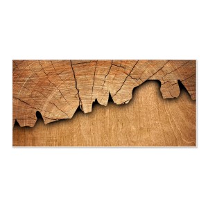 Weiße Magnettafel 78x37cm mit Baumscheiben Motiv. Metall Pinnwand inkl. 4 Magnete.