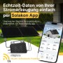 Solakon Balkonkraftwerk mit Solarmodulen, Wechselrichter und Smartphone-App zur Echtzeit-Überwachung der Stromerzeugung im Garten.