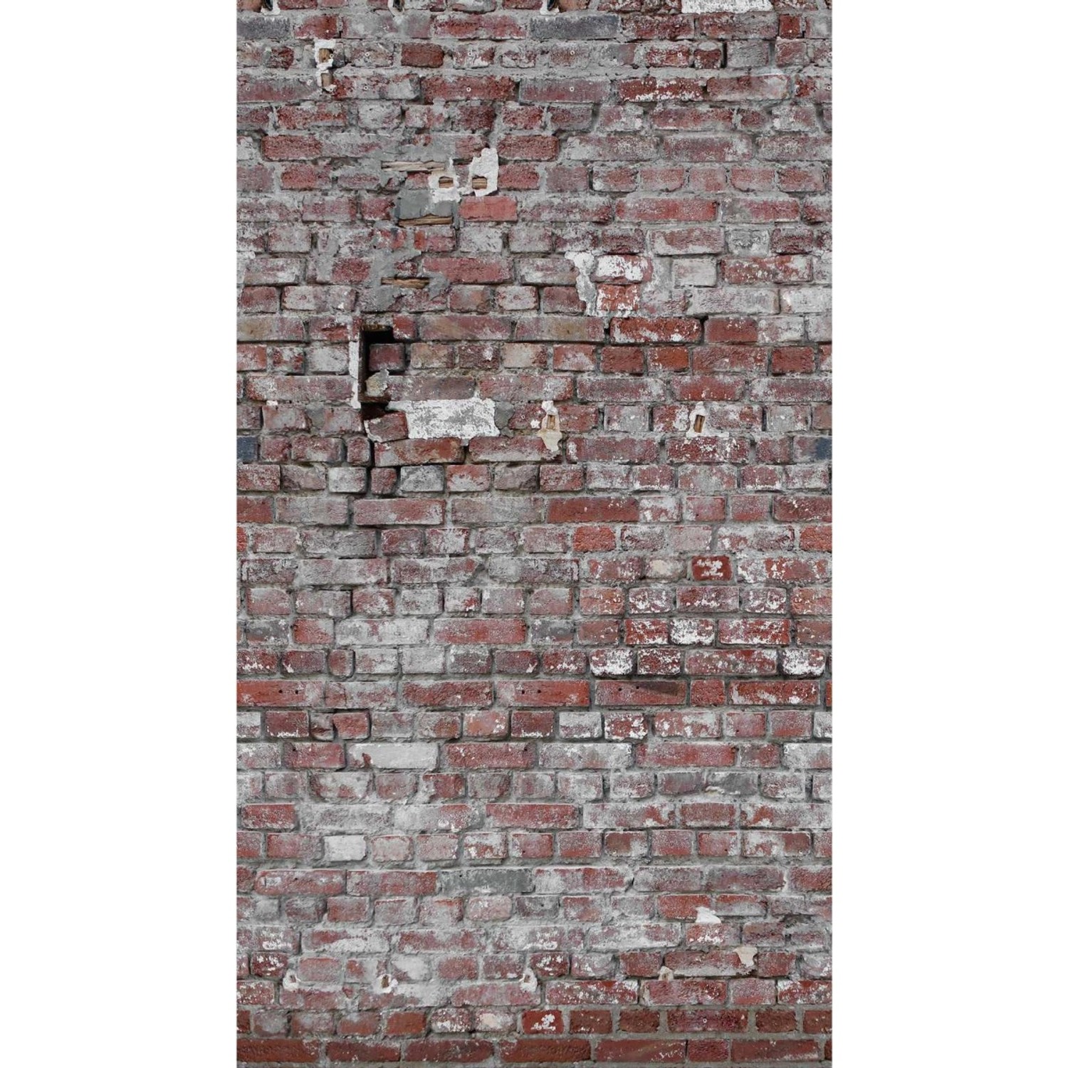 A.S. Création Fototapete Vlies Steinmauer Vintage 159 cm x 280 cm FSC® günstig online kaufen