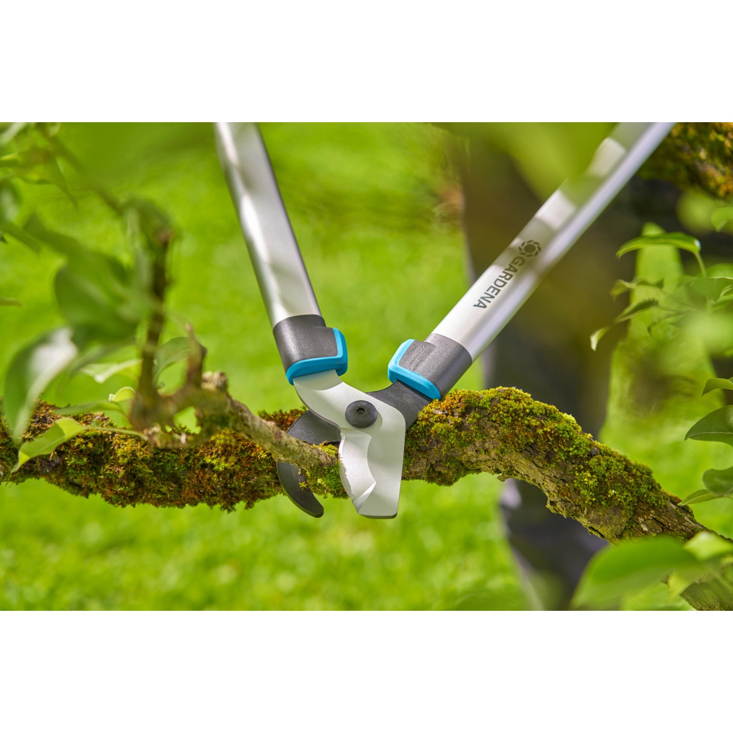 Gardena Astschere EasyCut L BypassSchneidprinzip kaufen bei OBI