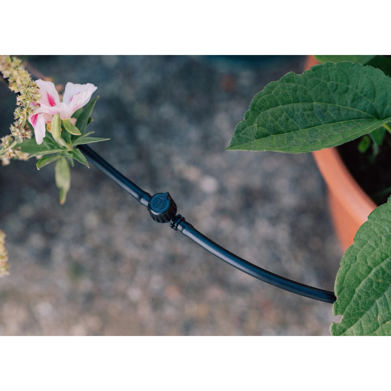 Geka Drip Set Bewässerungssystem für Balkon/Terrasse mit Tropfrohr und Blumen.