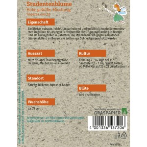 Samentüte Grüne Fee Studentenblume Hohe Gefüllte Mischung, geeignet für ca. 50 Pflanzen.