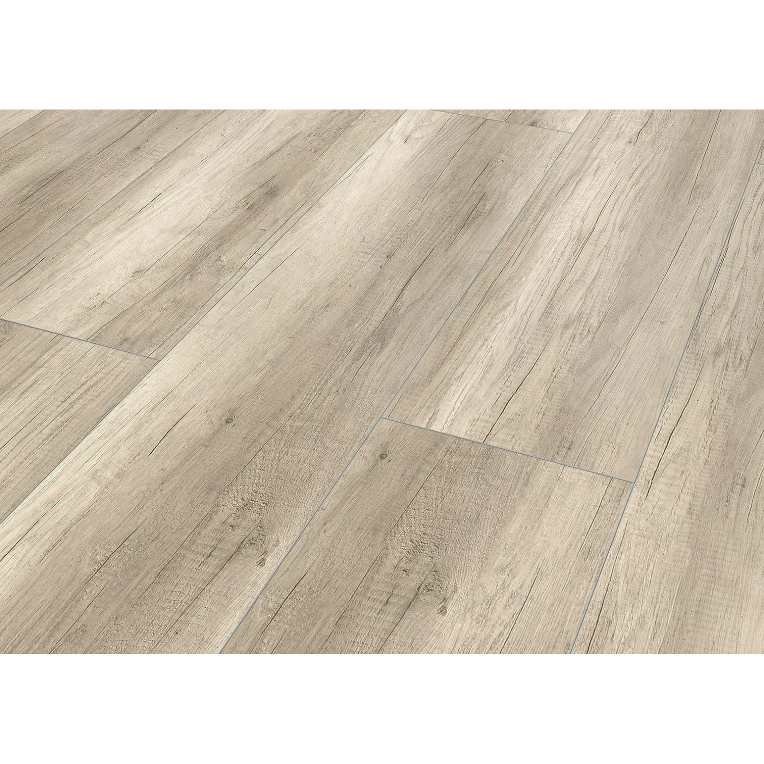 Classen XL Laminat 8 mm, wasserfest, Eiche Grau. Laminatboden in Holzoptik mit Maserung.