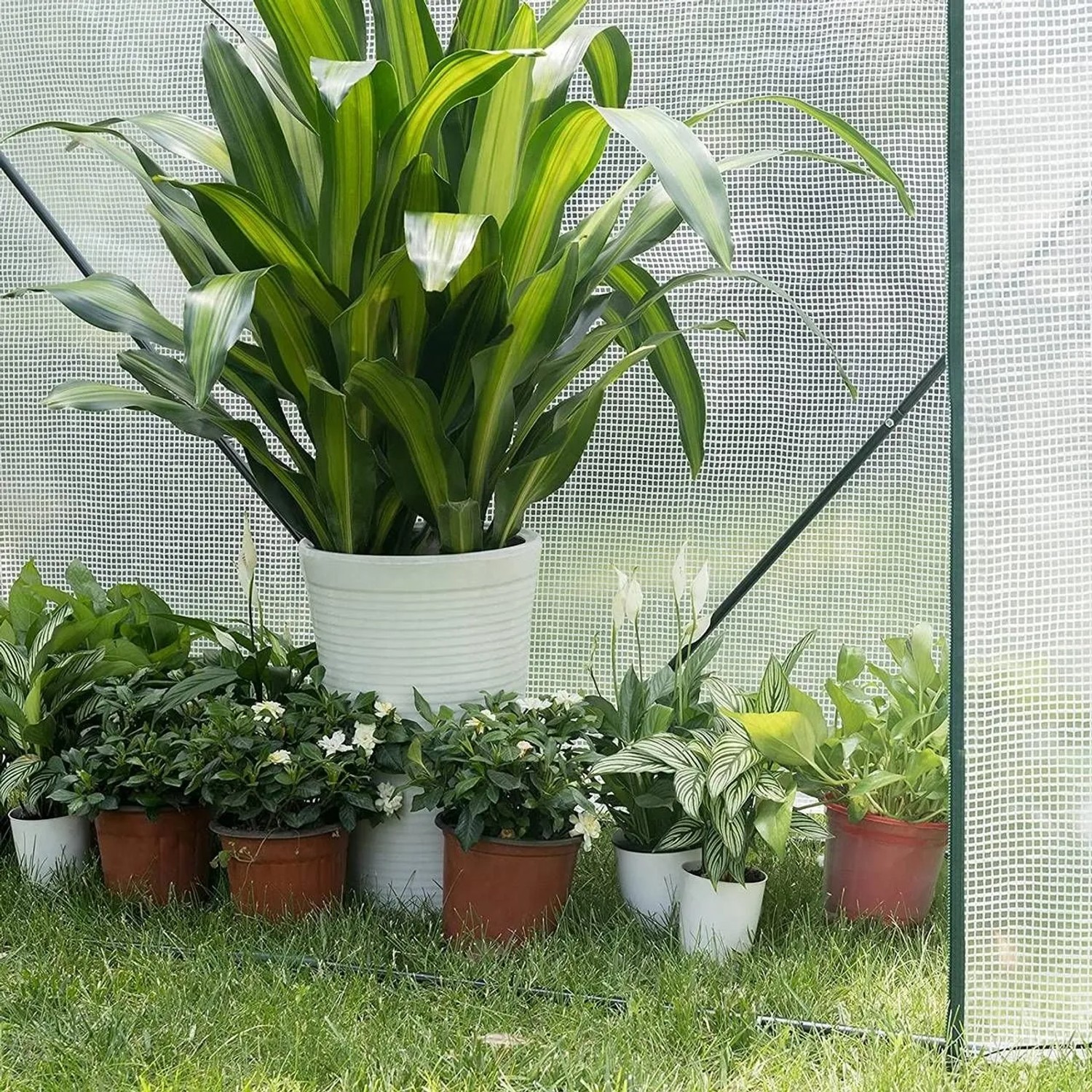 Halbtransparentes WOLTU Foliengewächshaus mit Pflanzen in Töpfen.