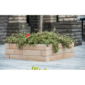 Diephaus Mauerstein Patea Pico Sandstein als Pflanzbeet mit Bepflanzung.