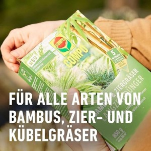 Grüne Compo Bambus und Ziergräser Langzeit-Dünger Packung (850 g) in Händen. Für gesundes Wachstum bis zu 5 Monate.