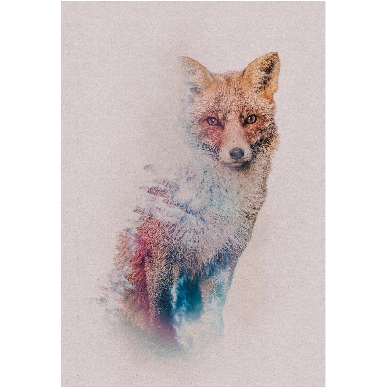 Komar Wandbild Animals Fox 50 x 70 cm günstig online kaufen